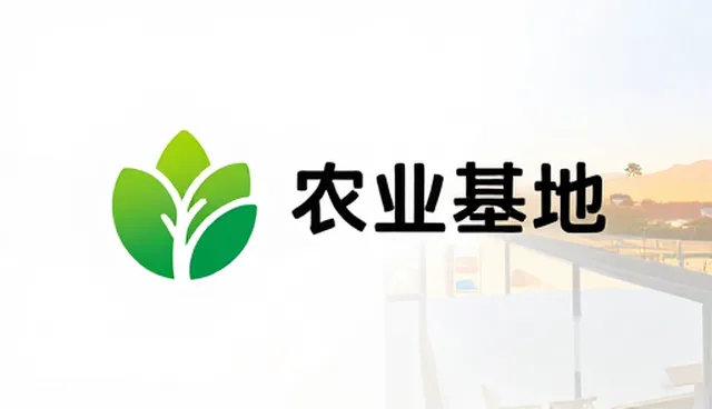 影视策划项目中性能优化的关键关注点